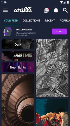 Walli4K壁纸 2.12.35 安卓版 3