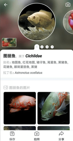 拍照识鱼app 2.4.18 安卓版 1