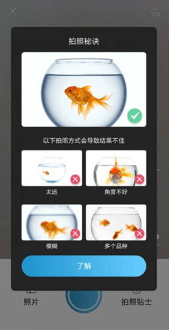 拍照识鱼app 2.4.18 安卓版 2