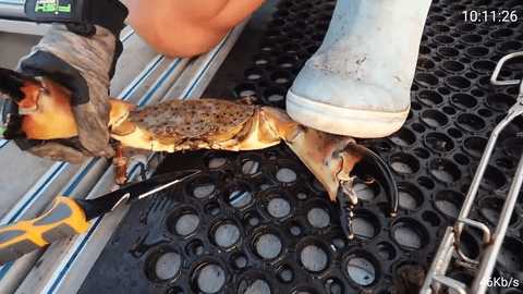 梅林IPTV稳定版App 5.8.0 安卓版 1