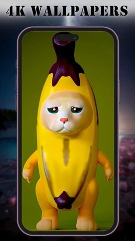 BananaCatWallpaperAPP 1.2 安卓版 3