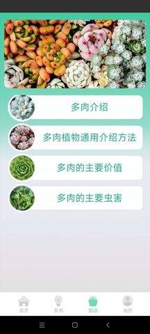 掌中百科App 0.1 安卓版 2
