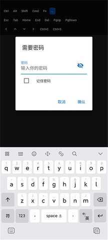 RustDesk手机版App 1.3.9 安卓版 2