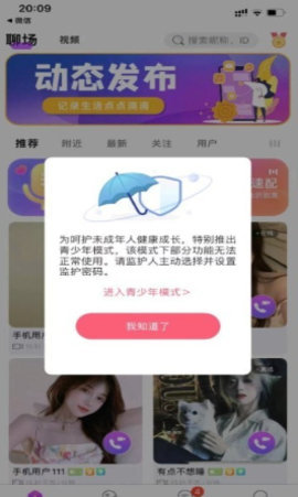 叶幕 1.0.3 安卓版 2