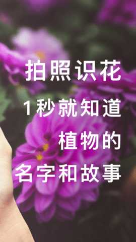 形色 3.14.24 安卓版 1