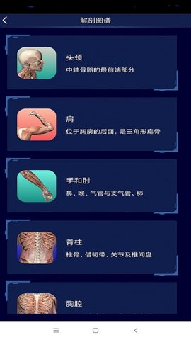 3D人体解剖图谱 2.0.7 安卓版 1