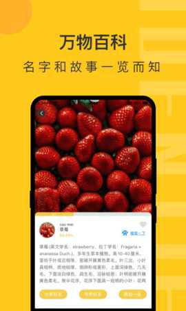 拍照识物 1.1.5 安卓版 3