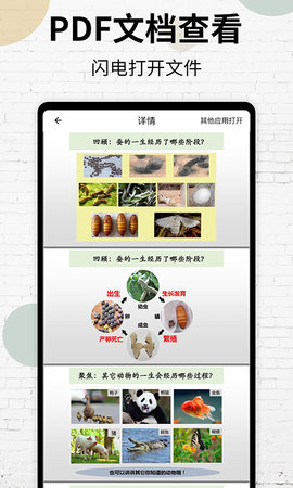 PDF阅读器 17 最新版 2