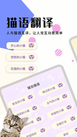 猫狗翻译器 1.6.6 安卓版 1