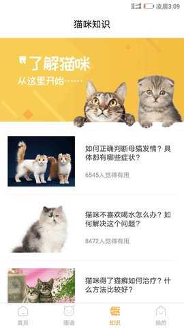 猫咪翻译器 1.8.0 官方版 3