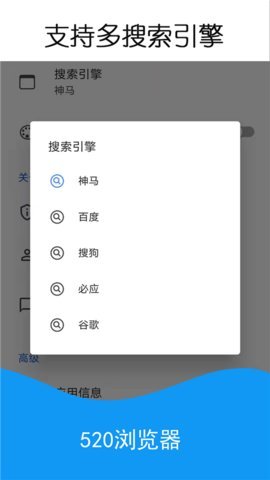 520浏览器 1.3.1 安卓版 1