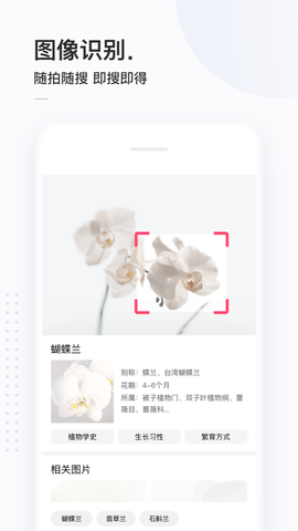 简单搜索 6.0.0.10 安卓版 2