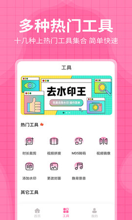 去水印王 3.3.2  1