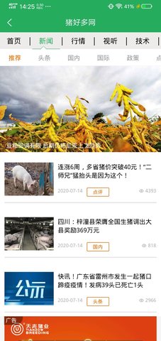猪好多 2.8  4