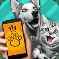 动物语言翻译模拟器