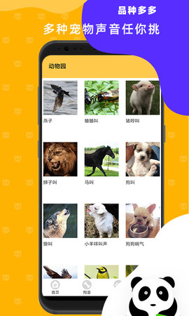 猫狗翻译神器 3.2 安卓版 3