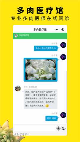 多肉圈 4.0 安卓版 2