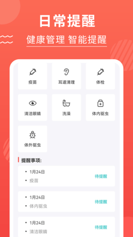 猫猫翻译器 3.2.8 安卓版 2