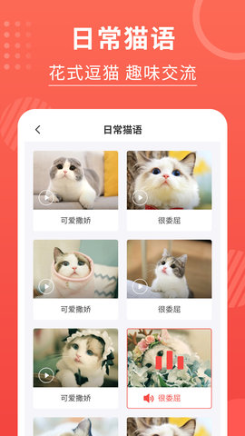 猫猫翻译器 3.2.8 安卓版 3
