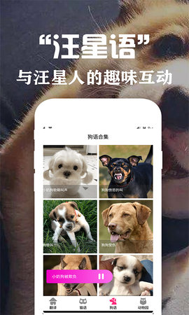 狗语翻译交流器 3.6 安卓版 2