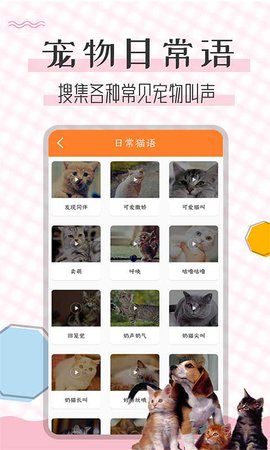 猫语翻译宝 1.2.4 安卓版 3