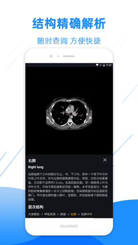 影像解剖图谱 4.4.1 最新版 2