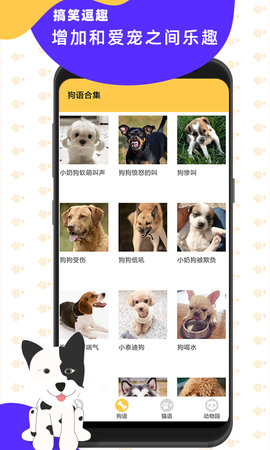 猫狗翻译神器 3.2 安卓版 2