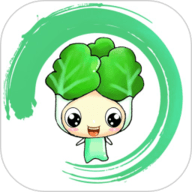 白菜挖