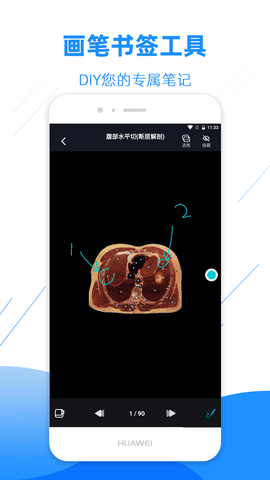 影像解剖图谱 4.4.1 最新版 4