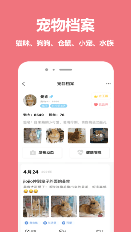 宠物王国 5.0.1 安卓版 1