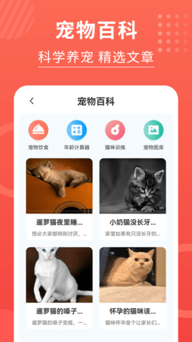 猫猫翻译器 3.2.8 安卓版 1