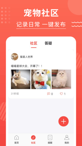 猫猫翻译器 3.2.8 安卓版 4