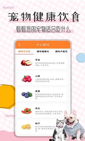 猫语翻译宝 1.2.4 安卓版 4