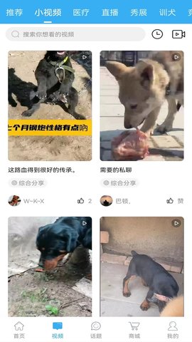 猛犬俱乐部 6.3.8 安卓版 2