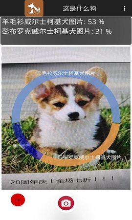 这是什么狗 1.0.1 安卓版 3