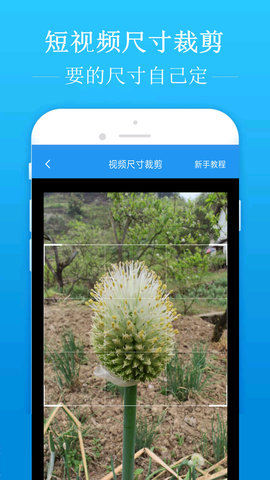 去水印吧 2.1.9 安卓版 1