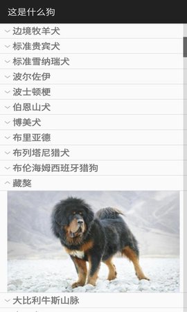 这是什么狗 1.0.1 安卓版 1