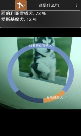 这是什么狗 1.0.1 安卓版 4