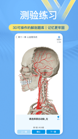 维萨里3D解剖教学 6.8.2 安卓版 3