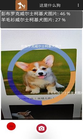 这是什么狗 1.0.1 安卓版 2