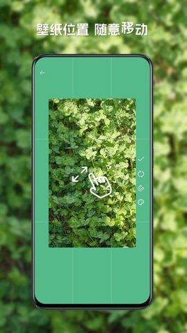 星咩视频壁纸App 1.1.3 手机版 1
