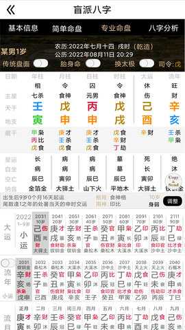 盲派八字 27.4.0 安卓版 3