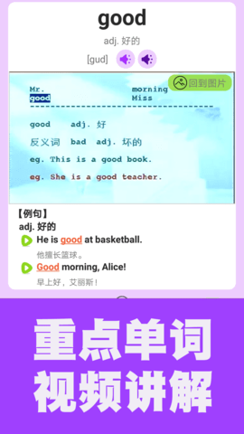初中英语单词通 1.8.5 安卓版 2