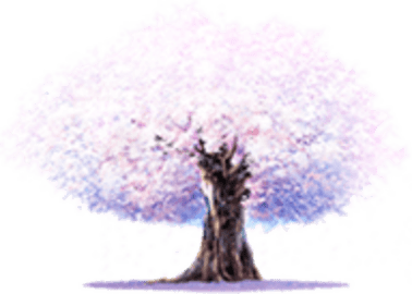 桜舞影视