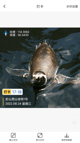 打卡定位 1.59.06042108 安卓版 1