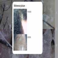 MRKV V20260112_V39 安卓版 3