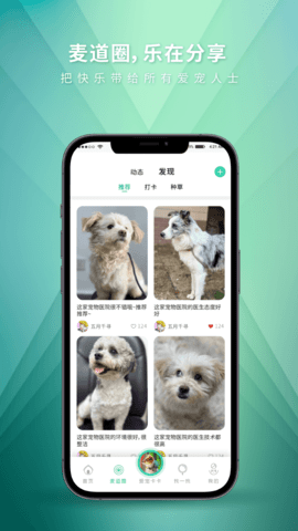 麦道 2.5.9 安卓版 4