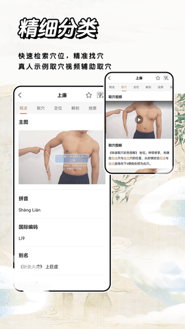中医经络穴位标准指南 1.9 安卓版 2