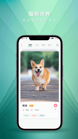 麦道 2.5.9 安卓版 3