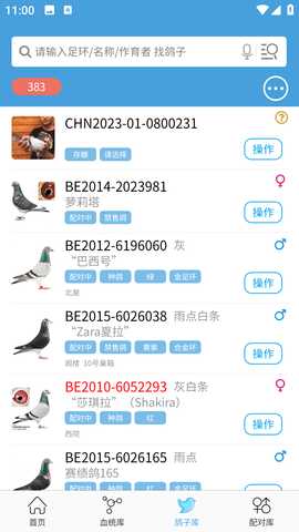 赛鸽云 9.7.4 官方版 1